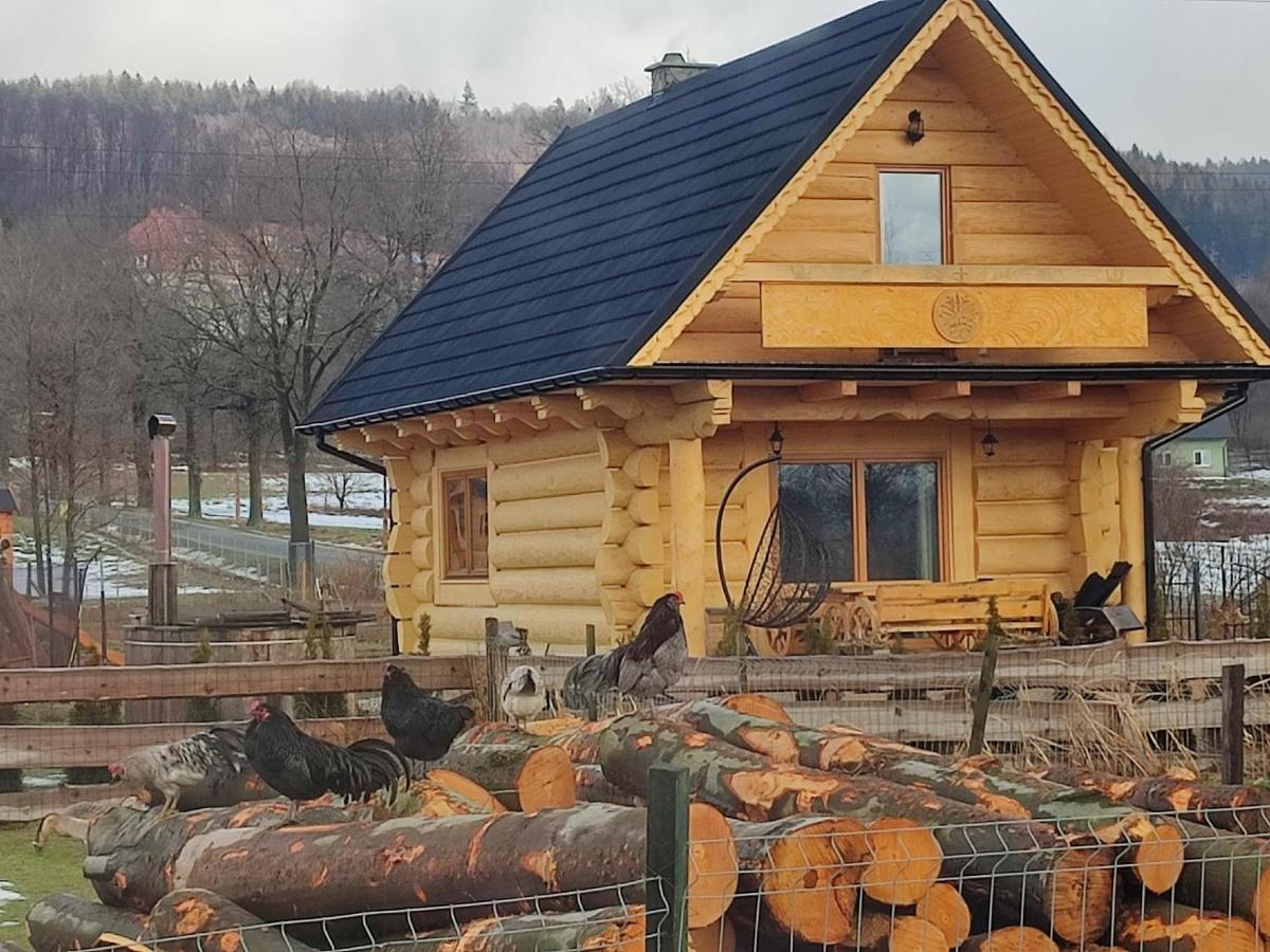 Sudecki Dym Z Kominkiem Kolo Karpacza. Agroturystyka Janowice Wielkie Exterior photo