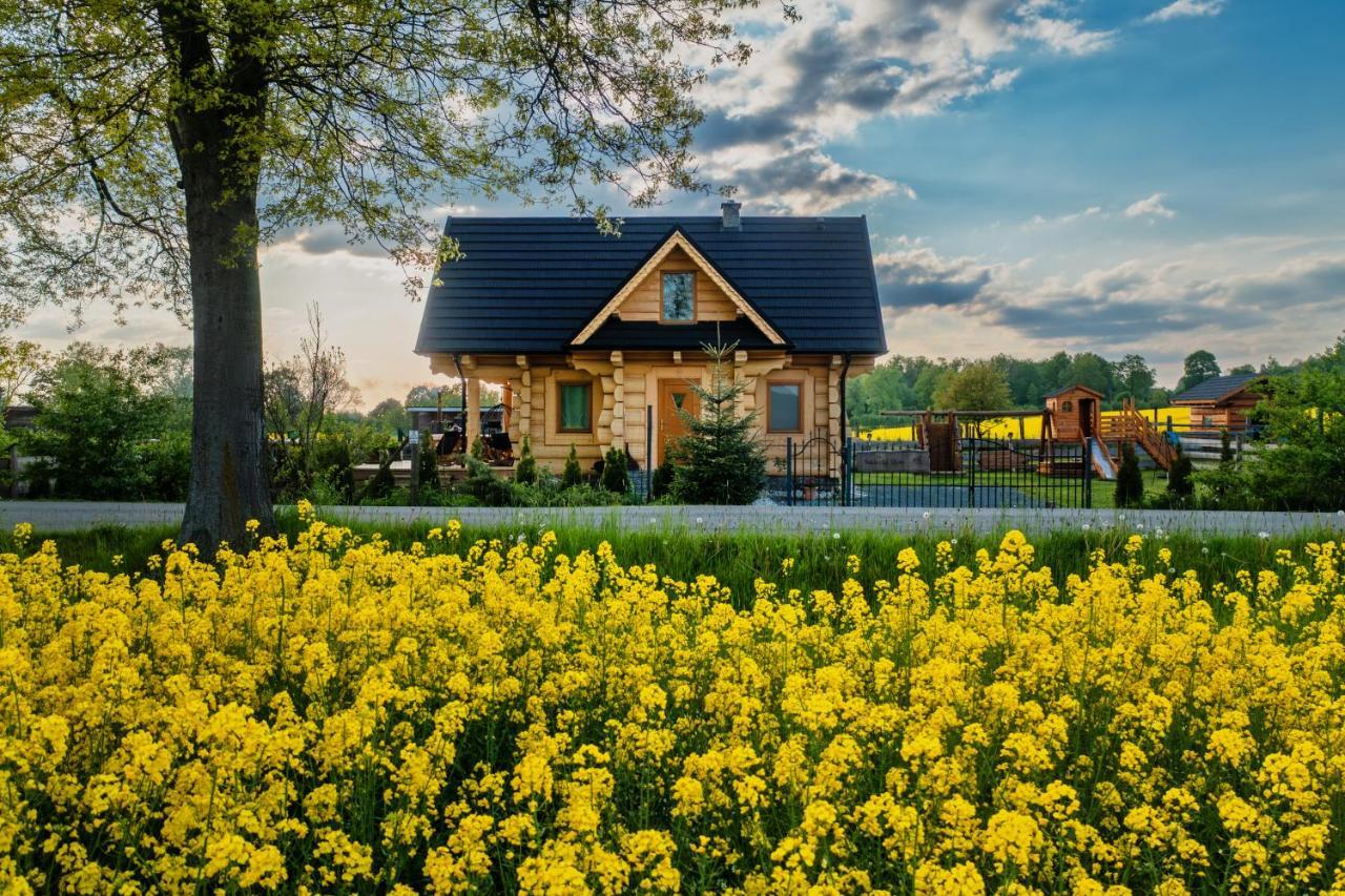 Sudecki Dym Z Kominkiem Kolo Karpacza. Agroturystyka Janowice Wielkie Exterior photo