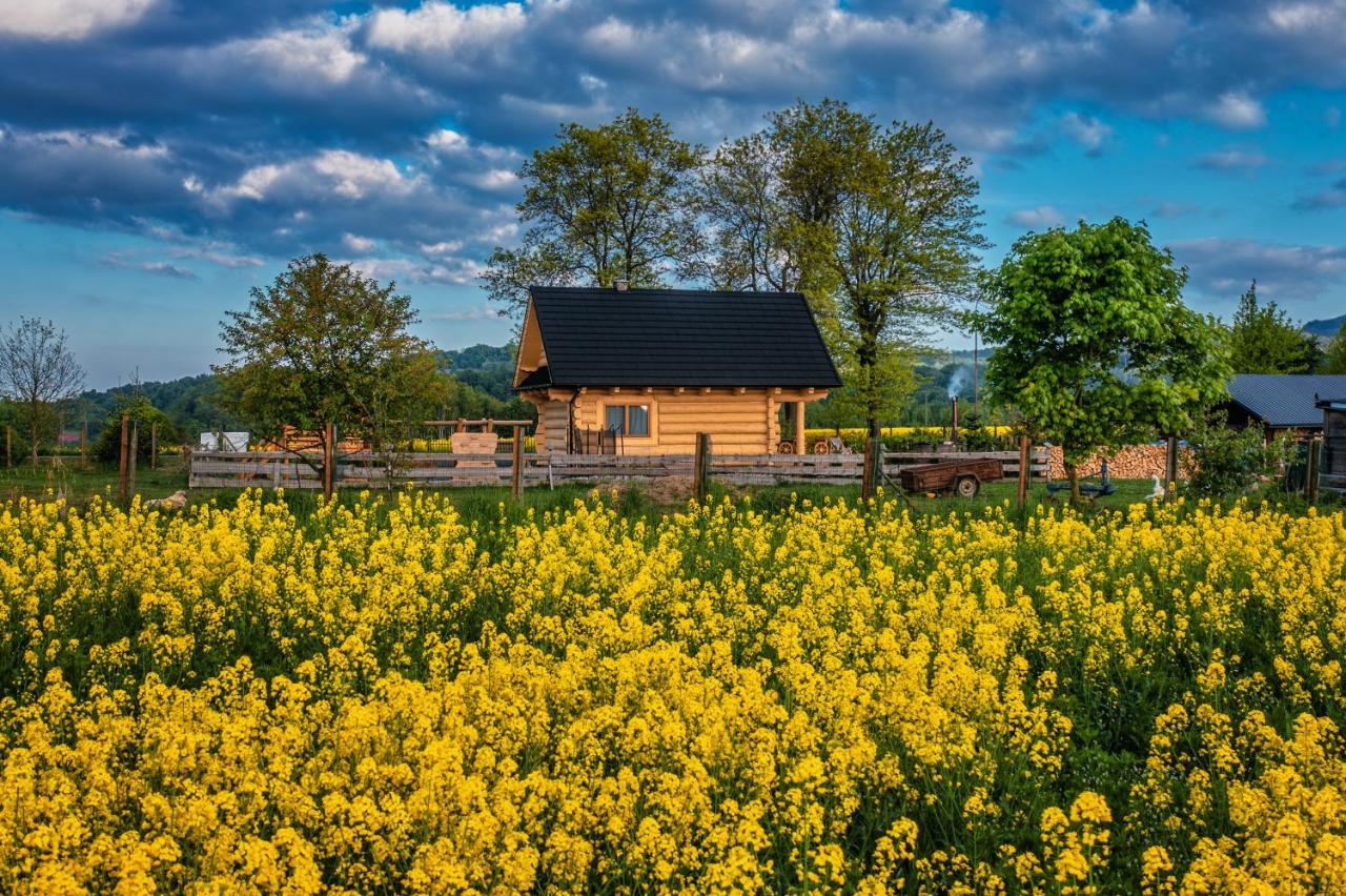 Sudecki Dym Z Kominkiem Kolo Karpacza. Agroturystyka Janowice Wielkie Exterior photo